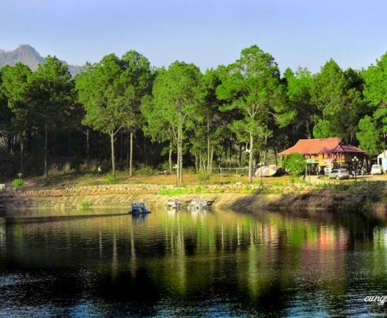 Tour Tết Hà Nội - Mộc Châu - Hà Nội 2N1D Ở HomeStay